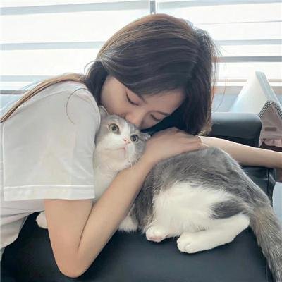 新楚留香
